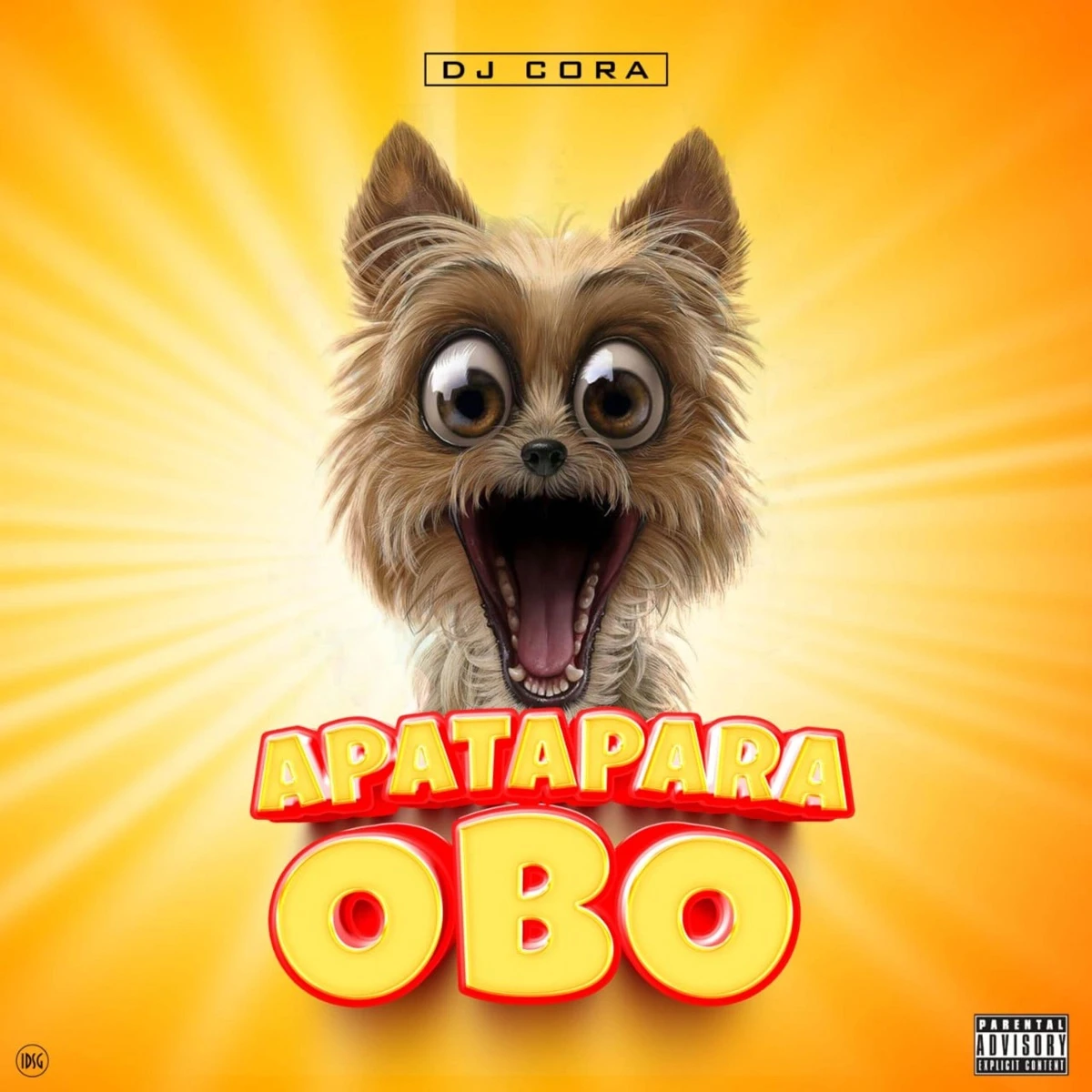 Apatapara Obo Lyrics