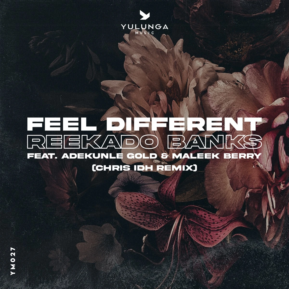 Feel Different [Chris IDH Remix] Lyrics