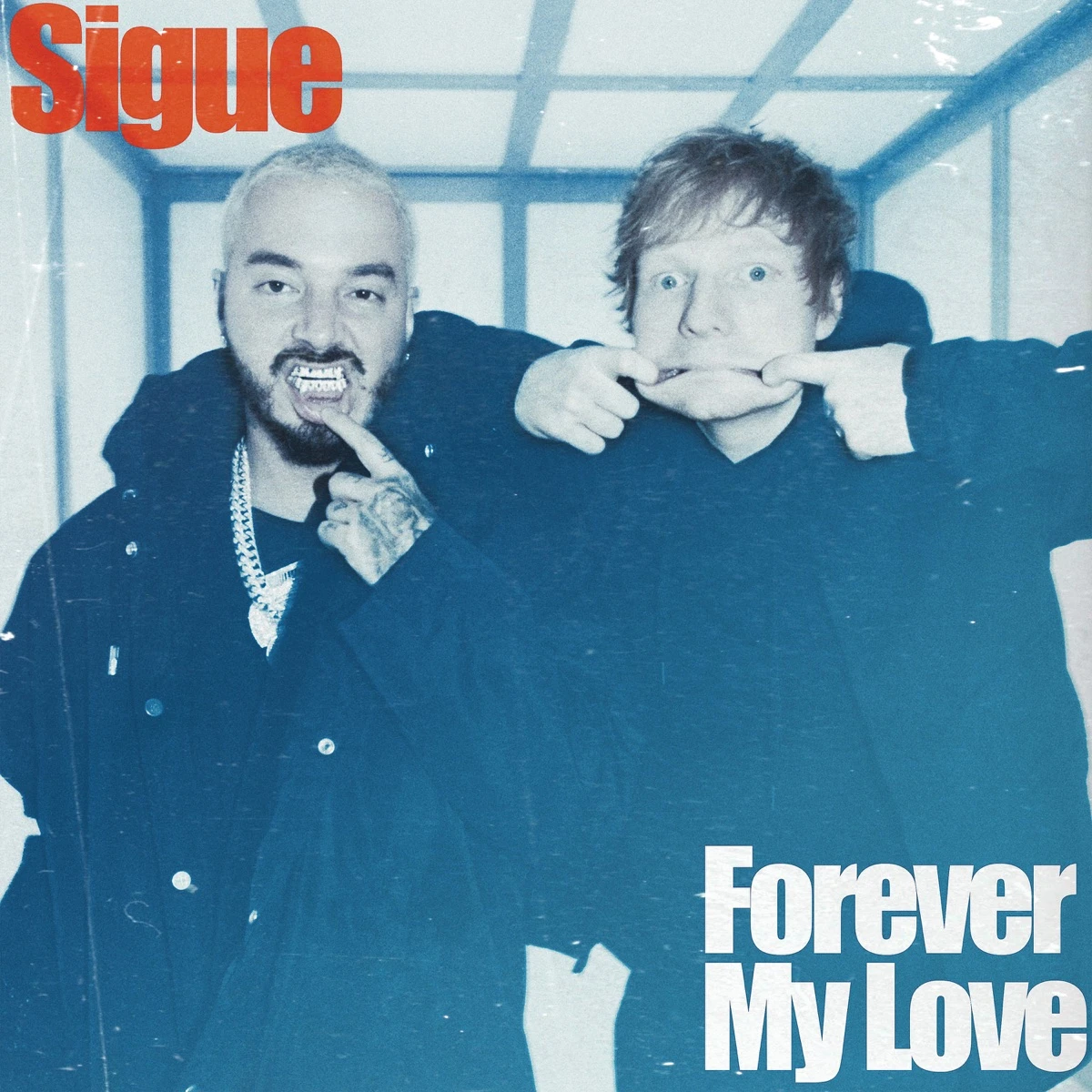 Forever My Love Lyrics by J Balvin Forever My Love Lyrics
