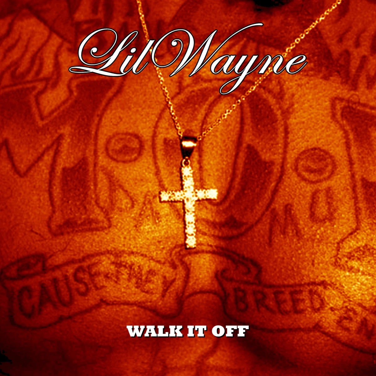 Hustlin Lyrics by Lil Wayne Hustlin Lyrics