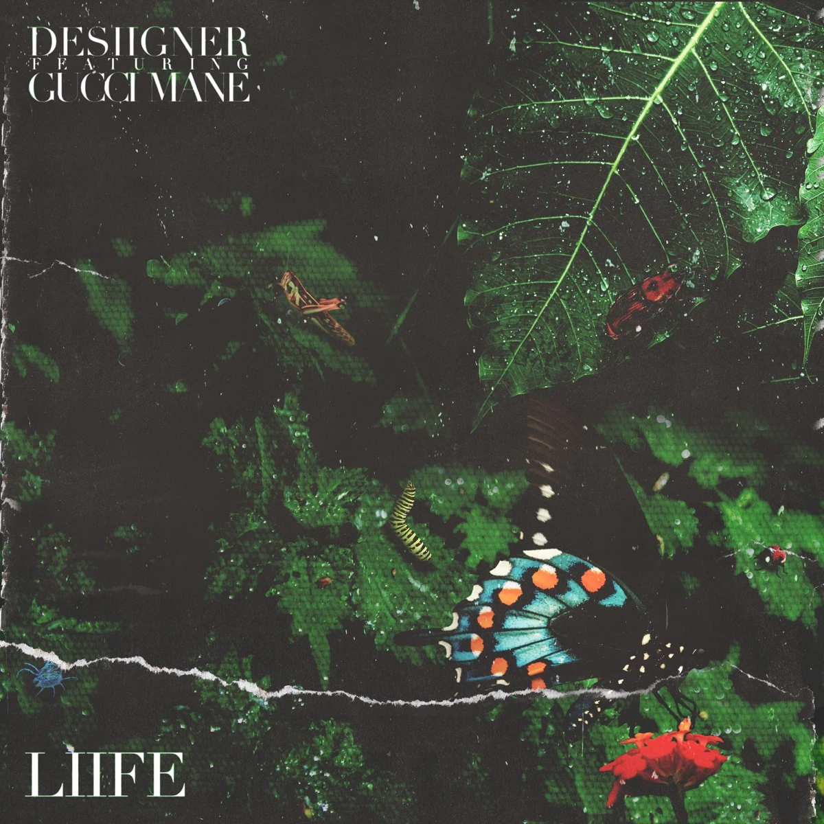 Liife Lyrics