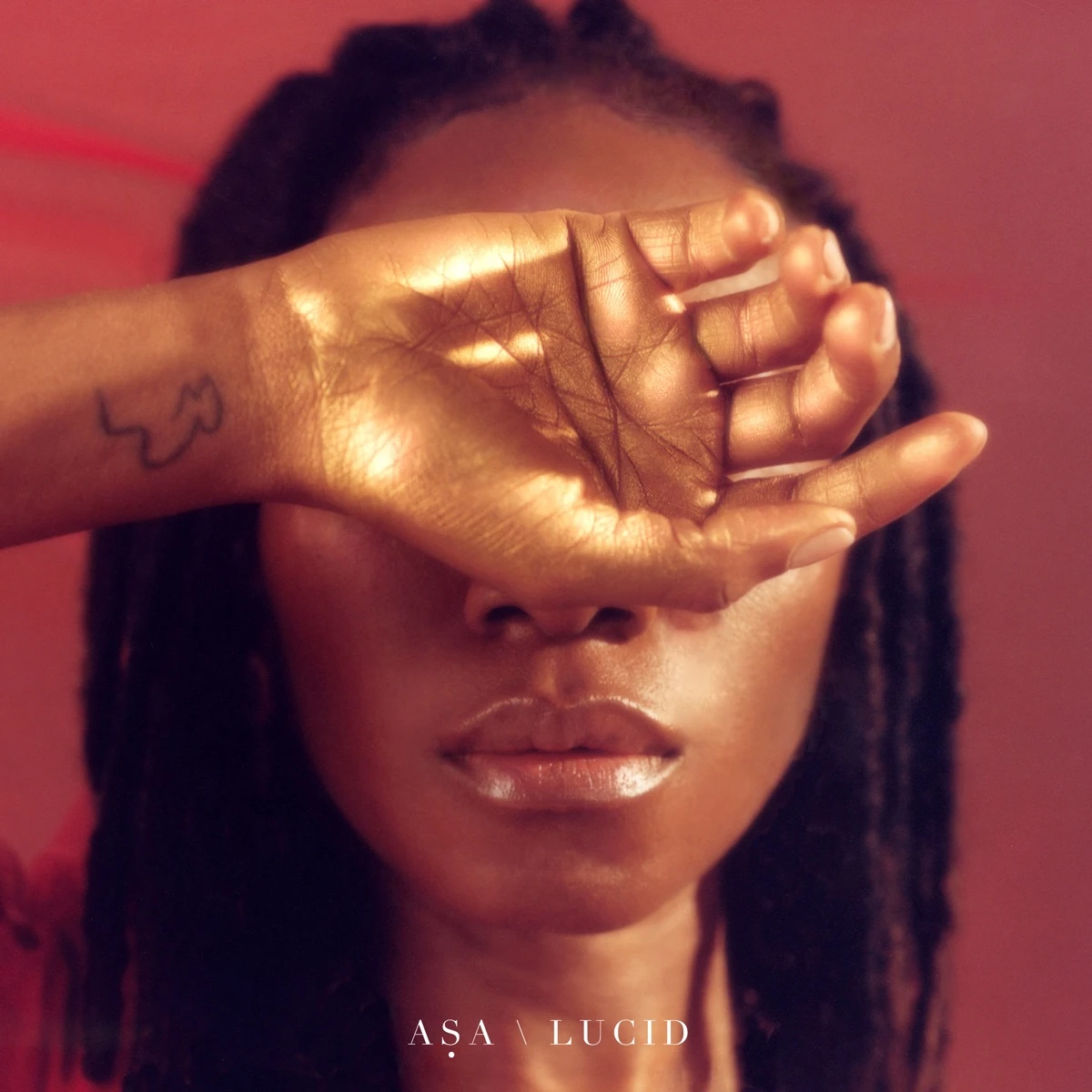 Murder in the USA Lyrics by Aṣa Murder in the USA Lyrics