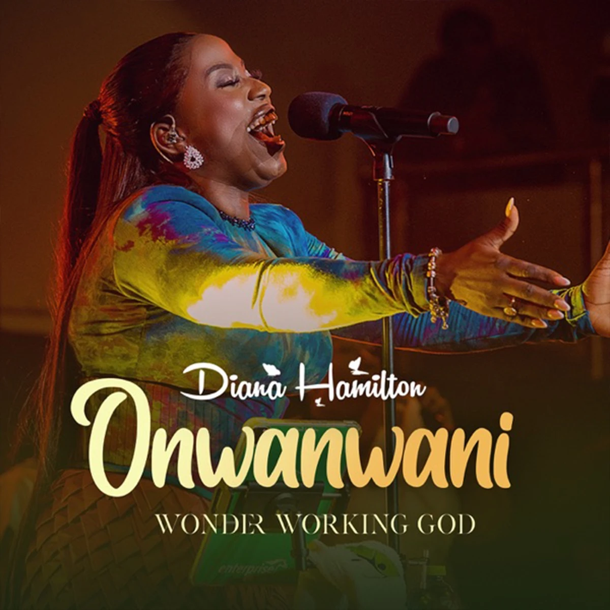 Onwanwani Wonder Working God (Live) Lyrics