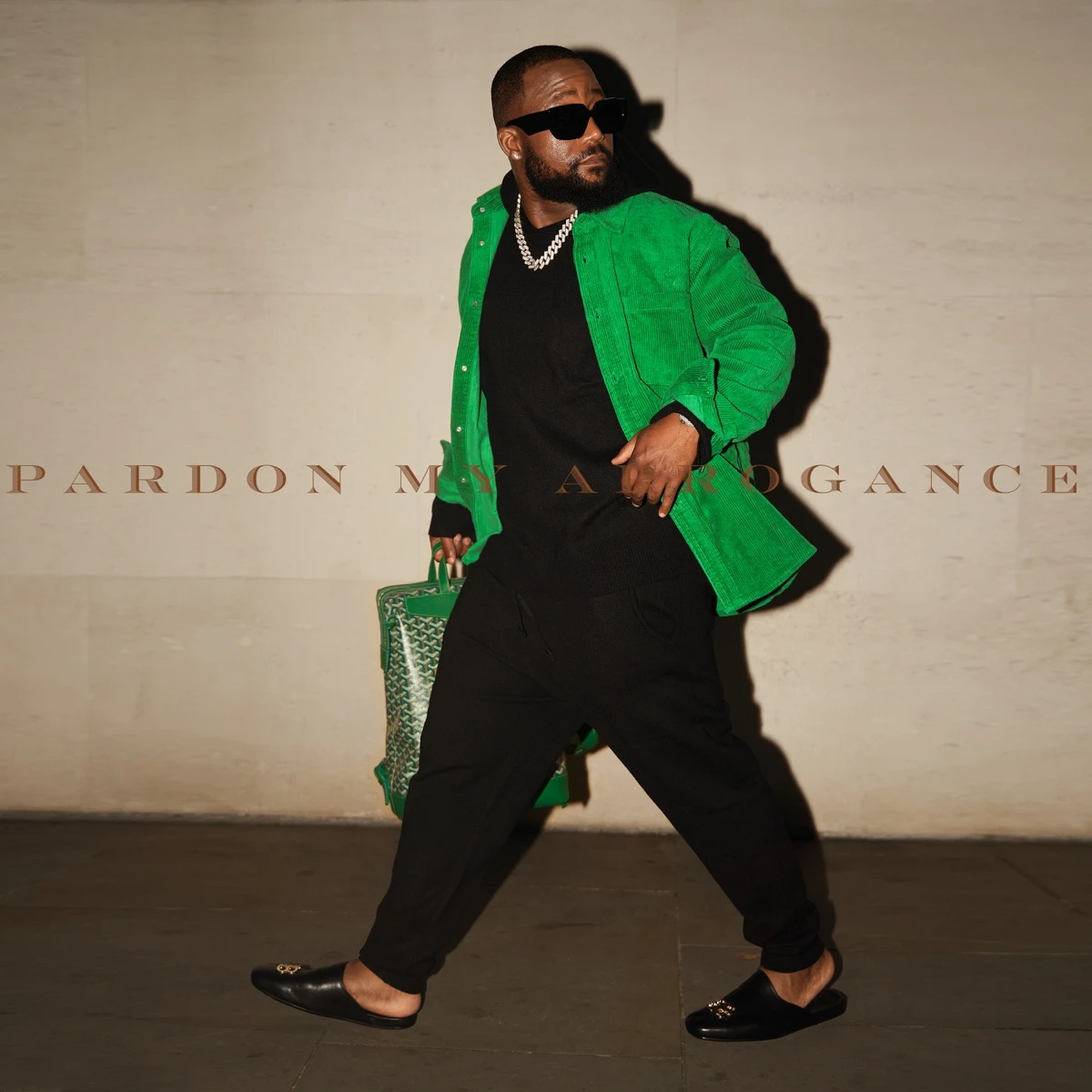 Pardon My Arrogance Lyrics