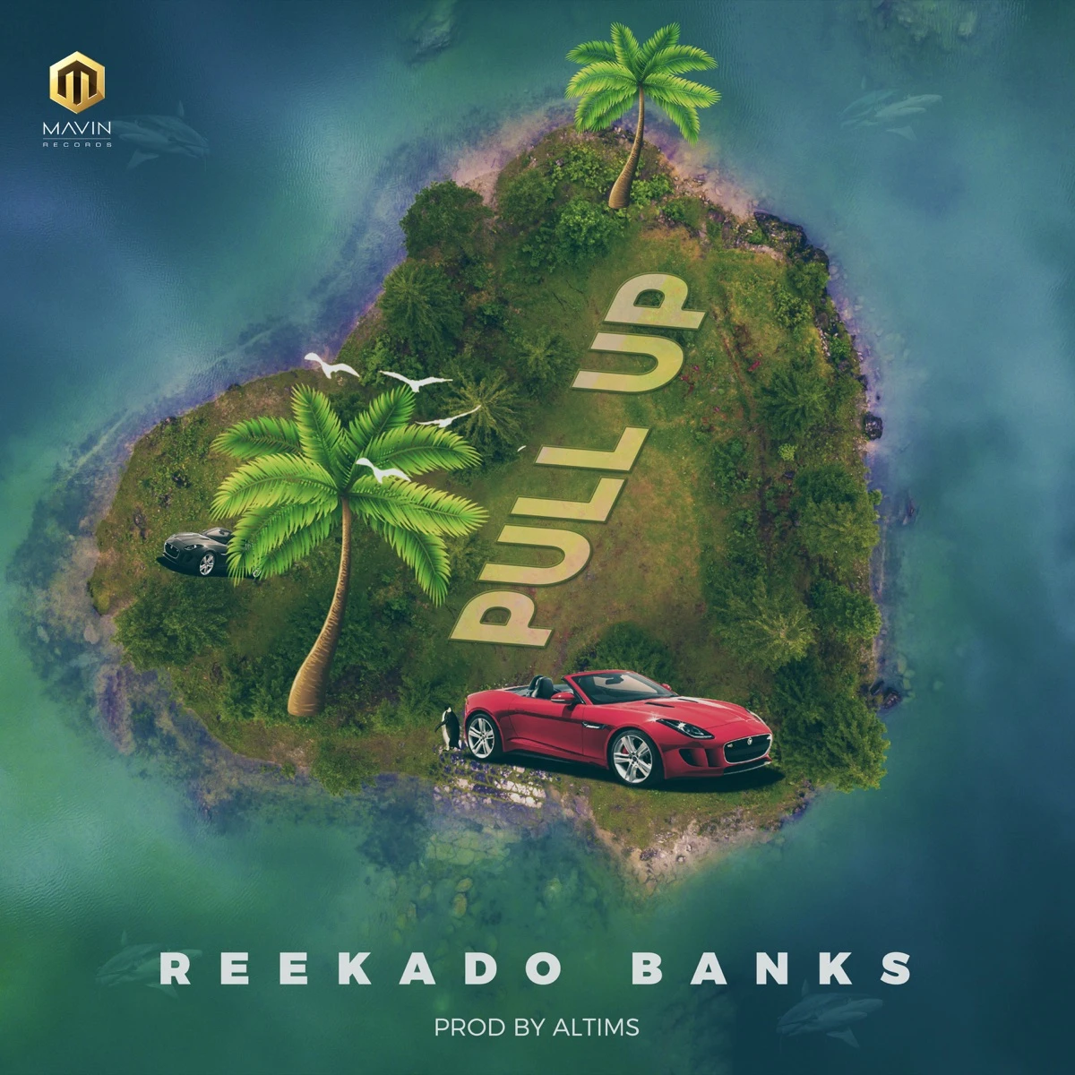 Pull Up Lyrics by Reekado Banks Pull Up Lyrics