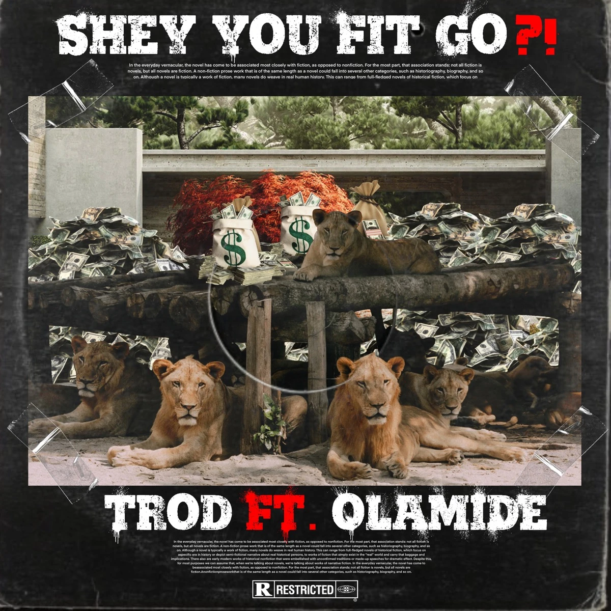 Shey You Fit Go?! Lyrics