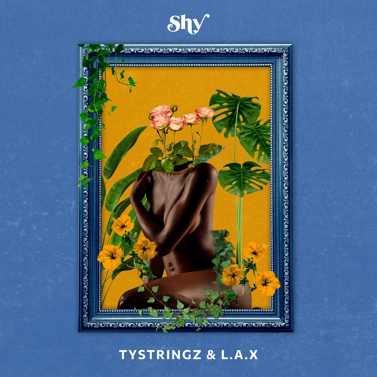 Shy Lyrics