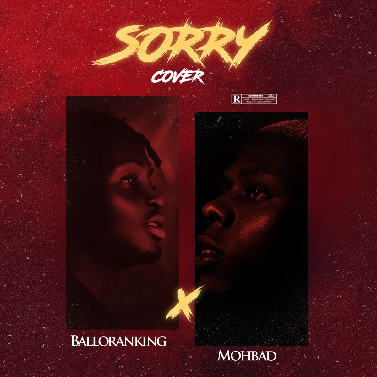 Sorry [Cover] Lyrics