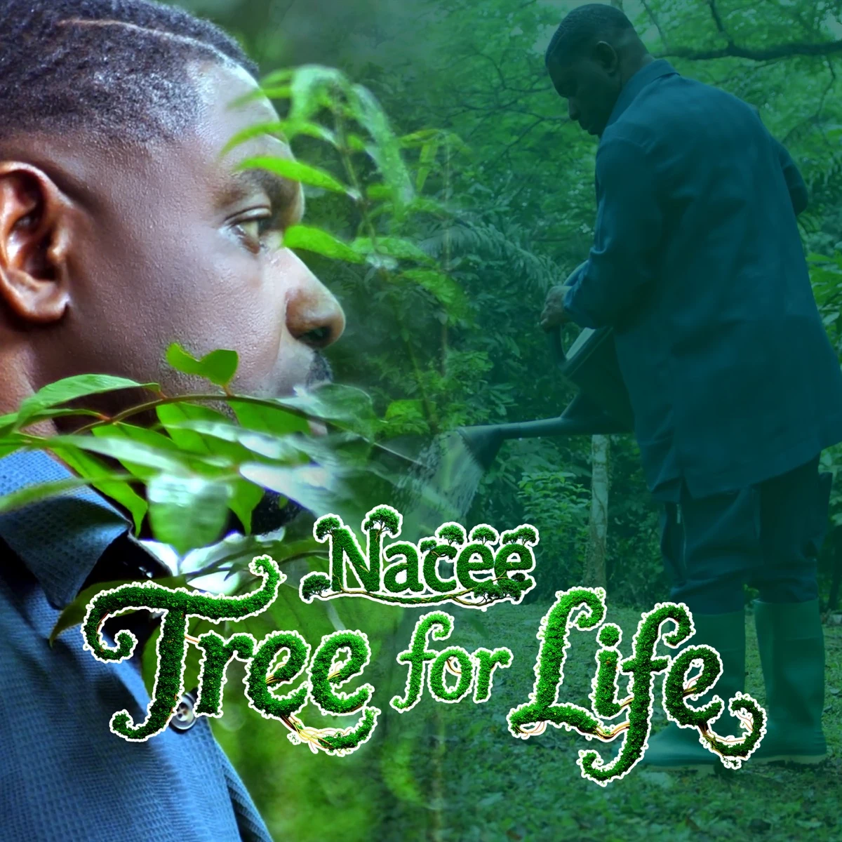 Tree for Life Lyrics