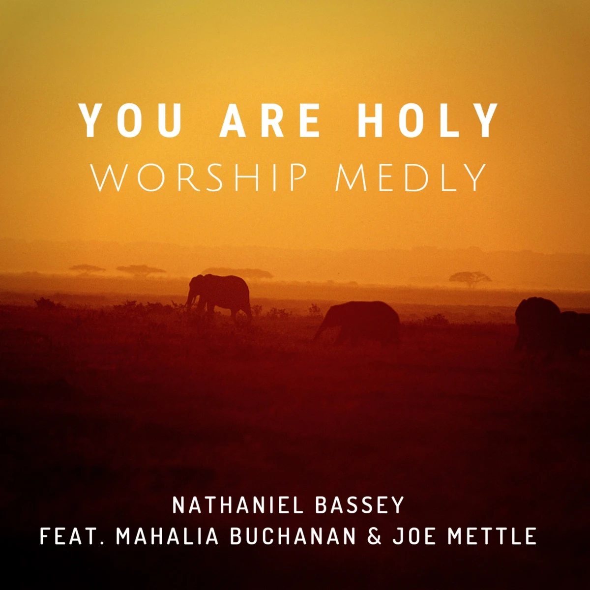 You Are Holy (Worship Medly) Lyrics